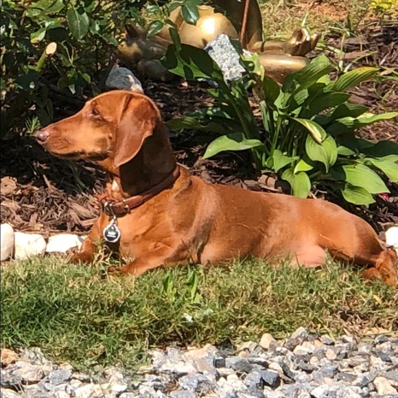 Meet your Posher, Tatyana - Picture 4 of 5